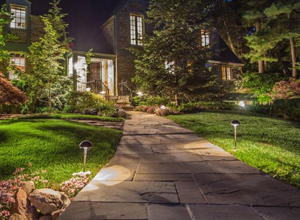 Night view of a garden and house