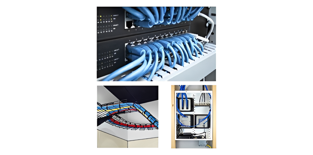 Blue ethernet cables in data center